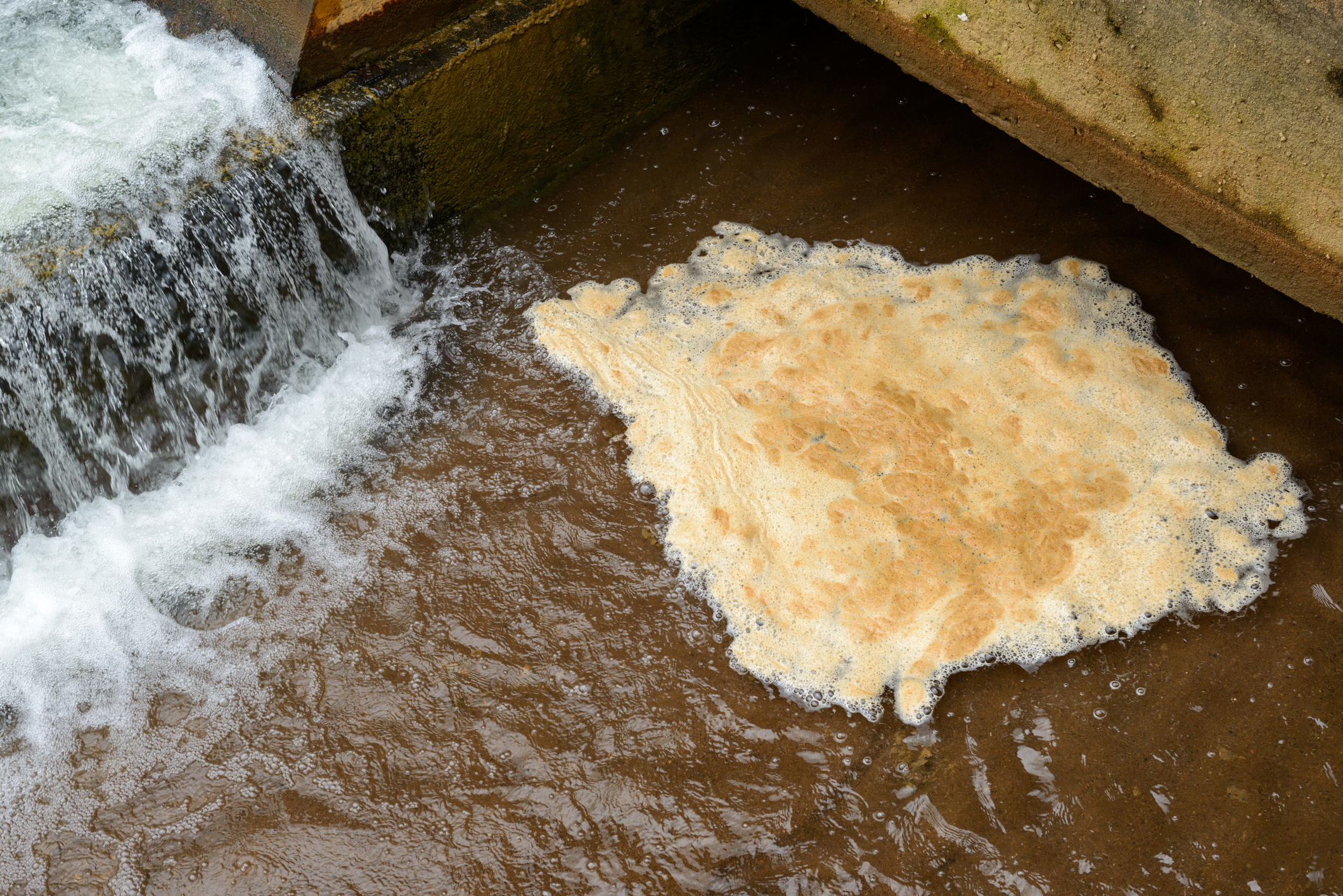 Foam buildup in a wastewater treatment plant, highlighting the need for effective foam control solutions to maintain process efficiency.